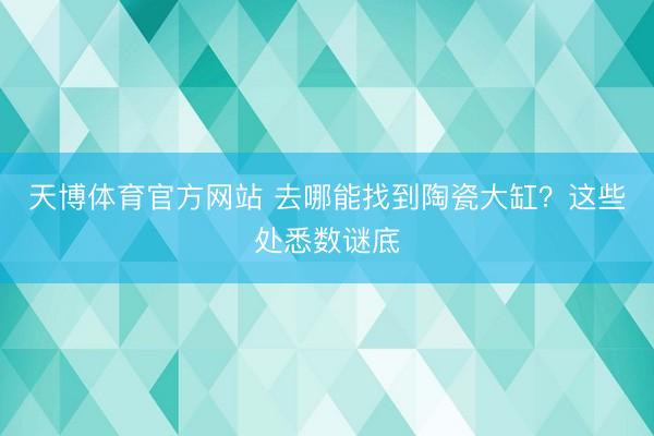 天博体育官方网站 去哪能找到陶瓷大缸？这些处悉数谜底