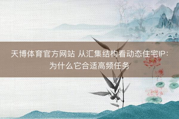 天博体育官方网站 从汇集结构看动态住宅IP：为什么它合适高频任务