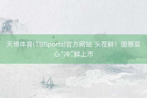 天博体育(TBSports)官方网站 头茬鲜！固原菜心“冷”鲜上市