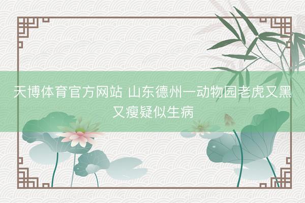 天博体育官方网站 山东德州一动物园老虎又黑又瘦疑似生病