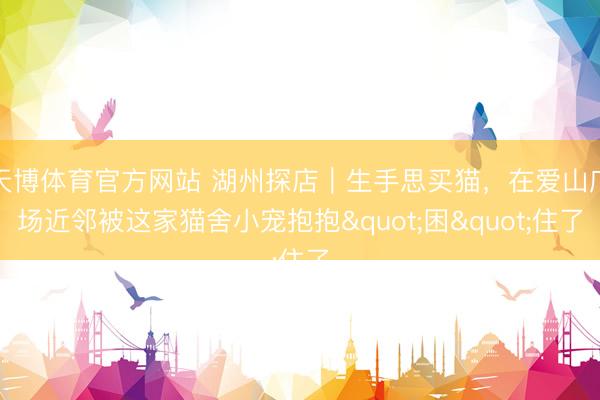 天博体育官方网站 湖州探店｜生手思买猫，在爱山广场近邻被这家猫舍小宠抱抱"困"住了