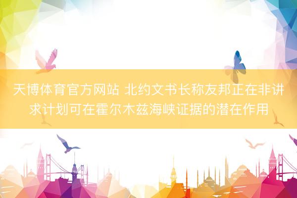 天博体育官方网站 北约文书长称友邦正在非讲求计划可在霍尔木兹海峡证据的潜在作用