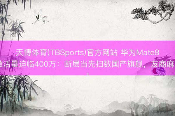 天博体育(TBSports)官方网站 华为Mate80激活量迫临400万：断层当先扫数国产旗舰，友商麻了！