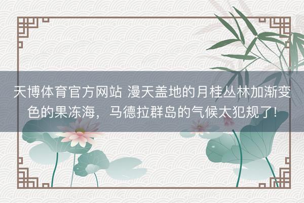 天博体育官方网站 漫天盖地的月桂丛林加渐变色的果冻海，马德拉群岛的气候太犯规了!