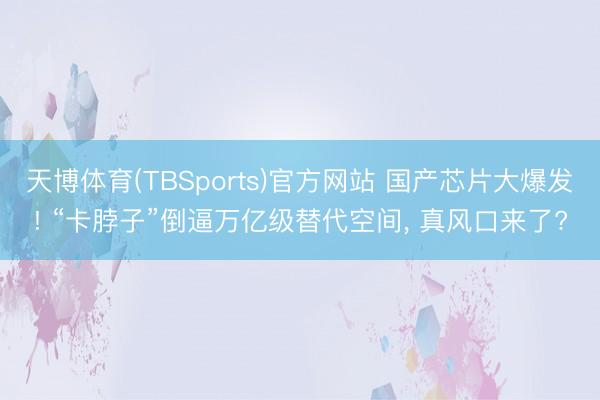 天博体育(TBSports)官方网站 国产芯片大爆发! “卡脖子”倒逼万亿级替代空间， 真风口来了?